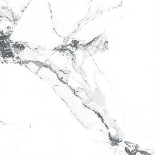 Mexise Statuaria Rectified Glossy Porcelain (600mm x 600mm) Wall And Floor Tiles