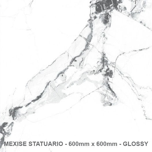 Mexise Statuaria Rectified Glossy Porcelain (600mm x 600mm) Wall And Floor Tiles