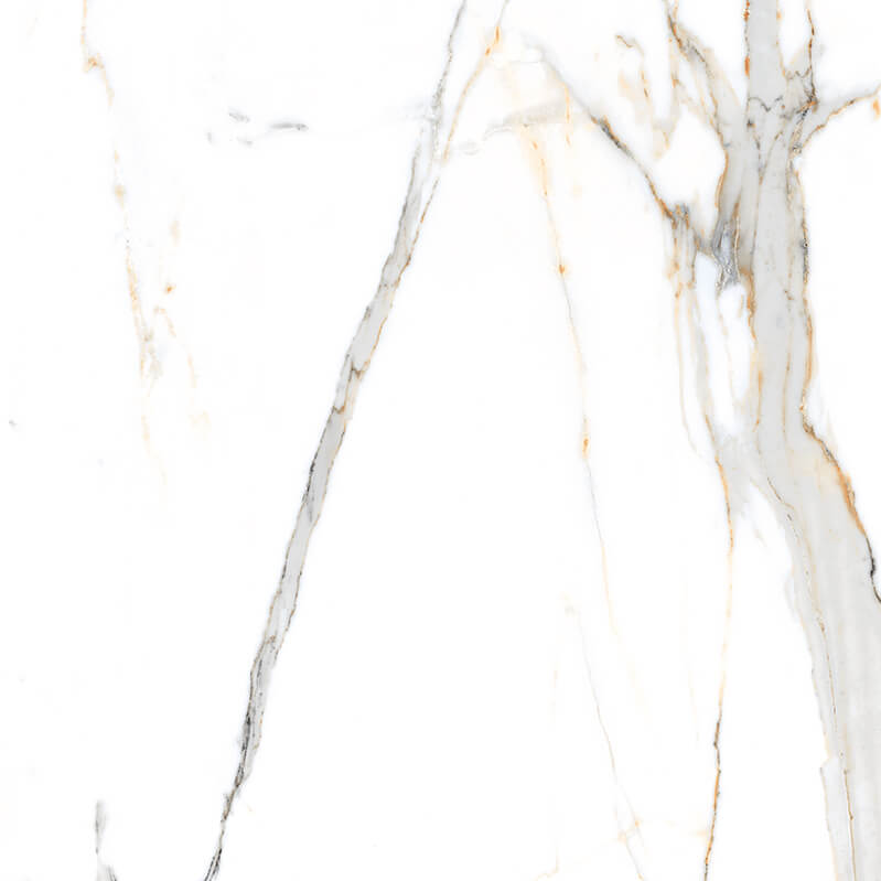 Regal Carrara Rectified Polished Porcelain (600mm x 600mm) Wall and Floor Tiles
