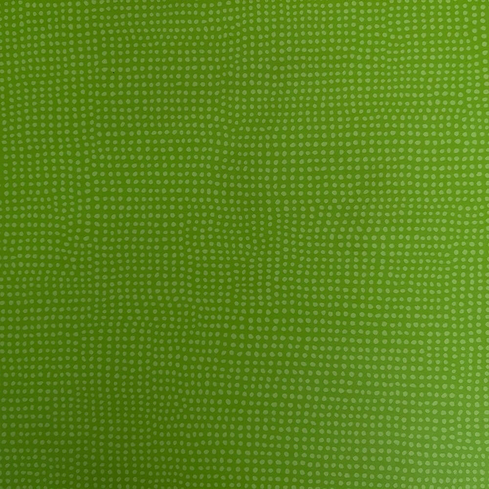 Pardoseală comercială din vinil lino Rochus T24 2m lățime