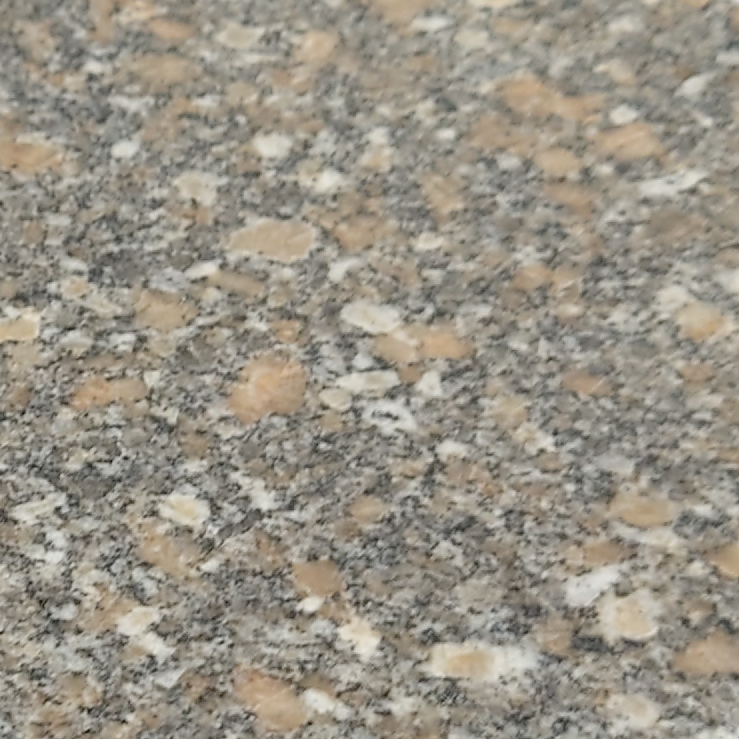 Venus Genuine Granite Kitchen Worktop