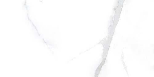 Satvario Rectified Polished Porcelain 300x600mm Wall and Floor Tile